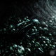 Image for article titled Intense graphic novel about insects is like Dr. Seuss meets Darwin